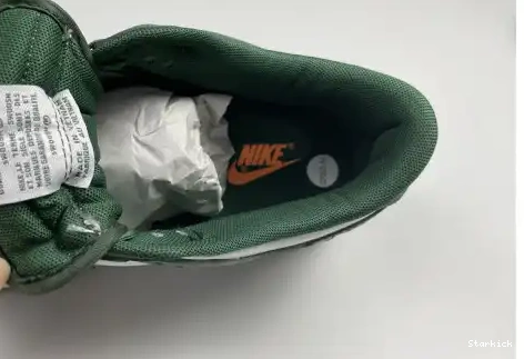 Low Dunk Spartan Green Nike DD1391-101 0501